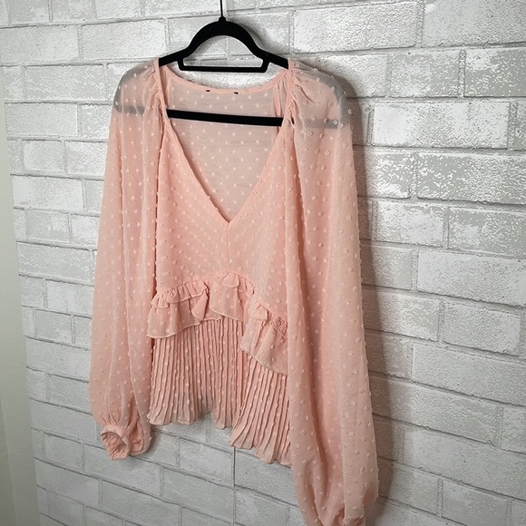 Lulu's Thrills and Frills Blush Pink Swiss Dot Ruffled Long Sleeve Top - Picture 7 of 15